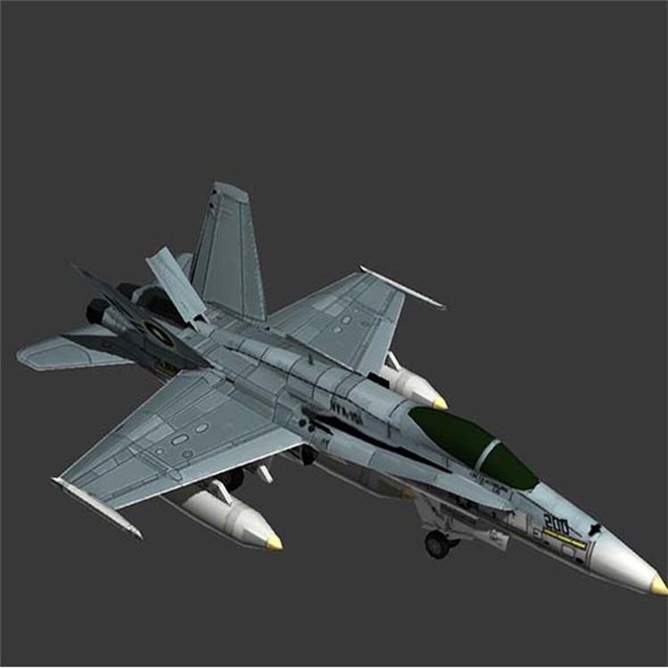 成都3D舰载战斗机模型